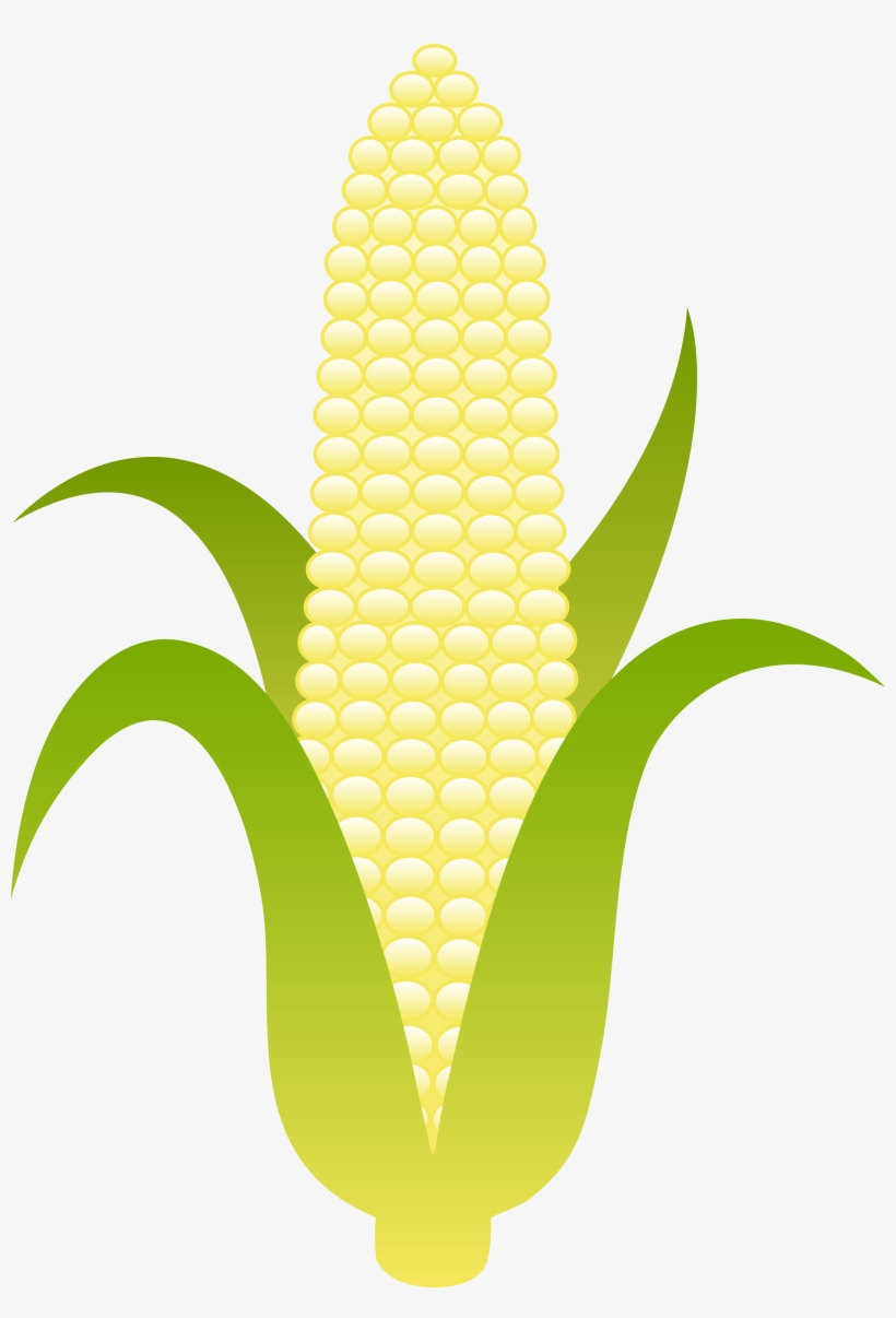 Fruit Clipart, Food Clipart, Fall Clip Art Free, Harvest - Corn Clip Art, transparent png #584653