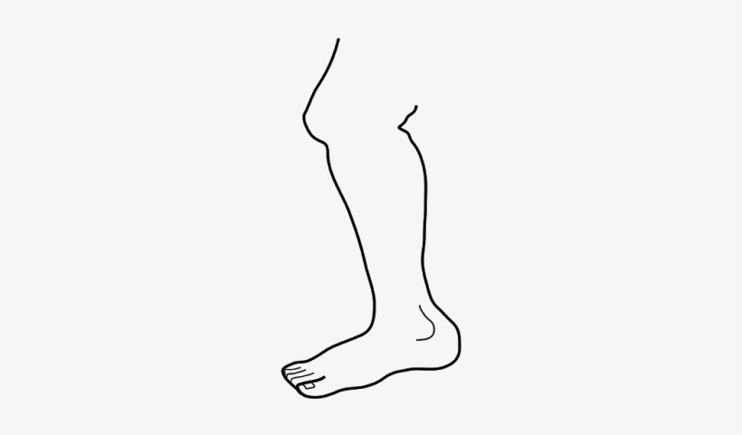 Graphic Black And White Library Panda Free Images Legclipart - Leg Black & White, transparent png #584907