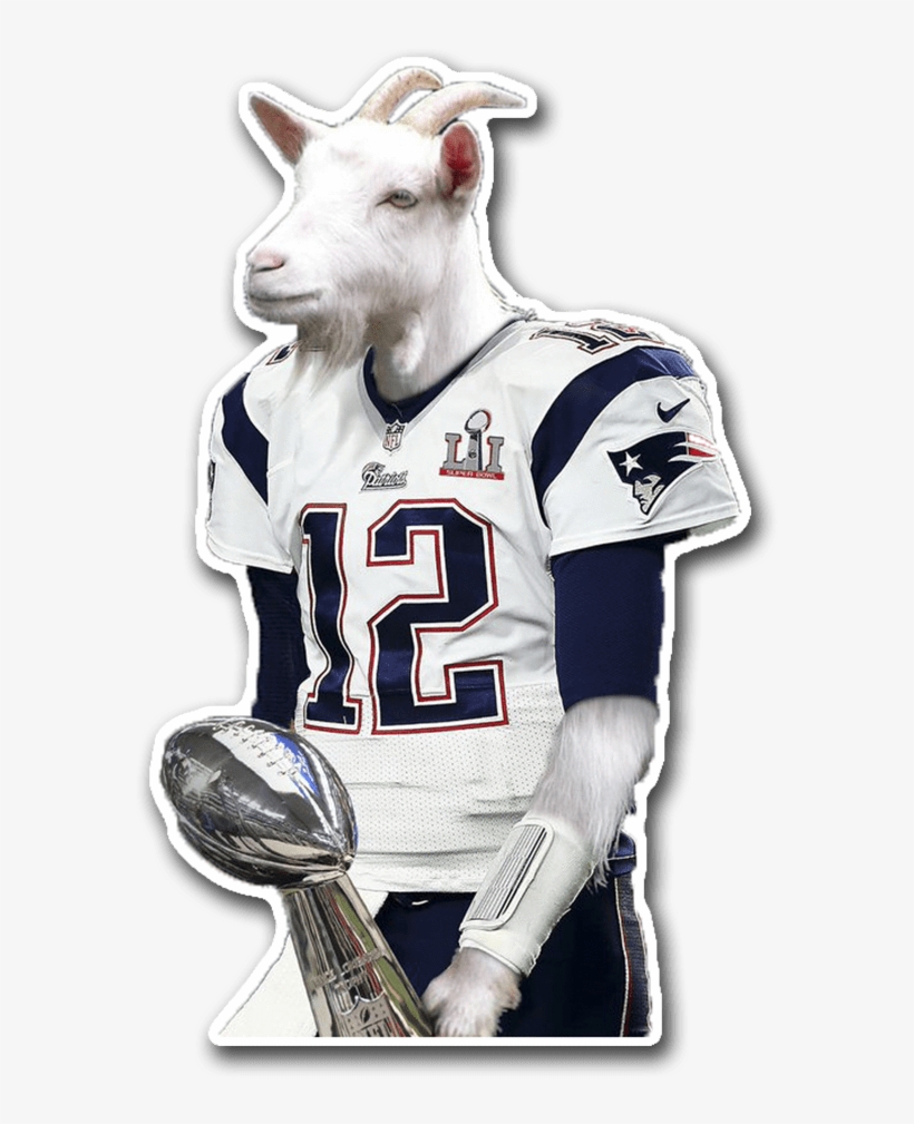 Tom Brady Goat - Wut In Tarnation Meme, transparent png #584909