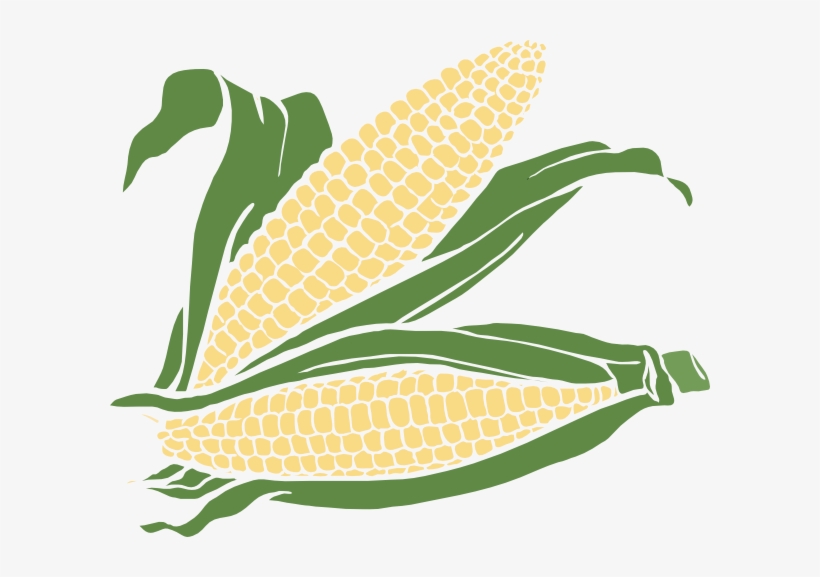 Corn Clip Art At Clker - Corn Clipart, transparent png #585041