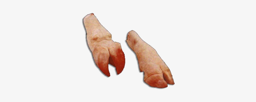 Where To Cow Leg Meat - All About Cow Photos