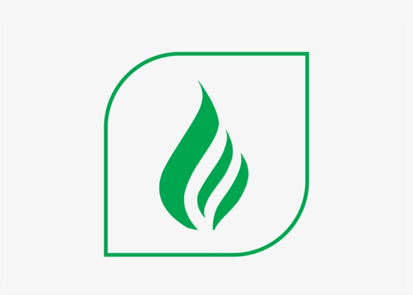 Leafy Corn Silage High Fiber Digestibility - Maize, transparent png #585204