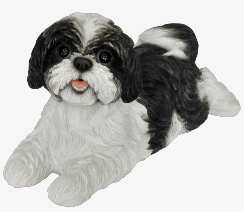 Tap To Expand - Vivid Arts Black And White Shih-tzu - Resin Garden, transparent png #585819