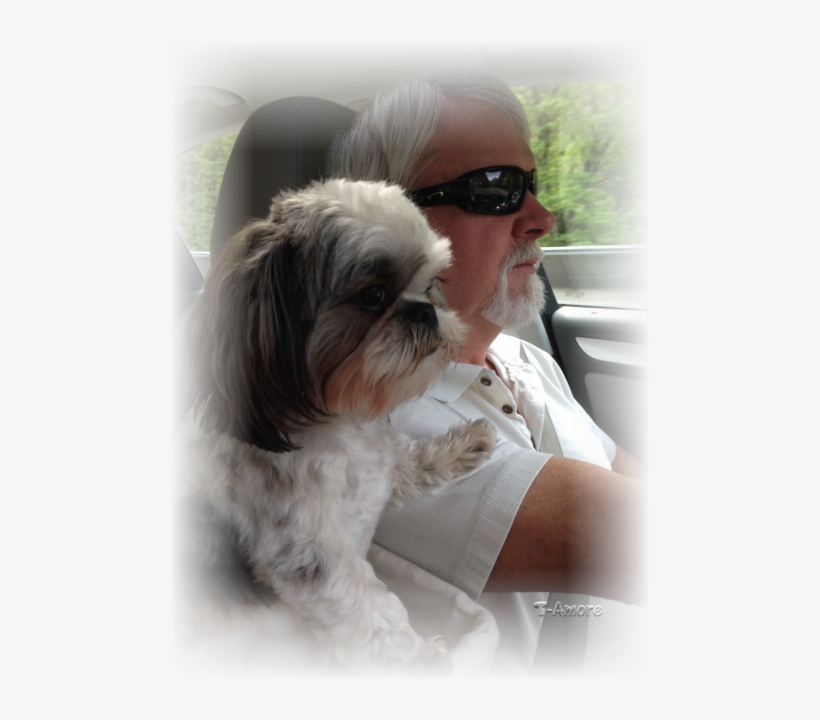 Linda Sent In This Great Picture Of "marley" Enjoying - Shih Tzu Dad, transparent png #586008