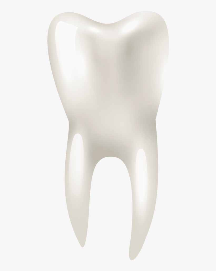Free Png Tooth Png Images Transparent - Portable Network Graphics, transparent png #586170