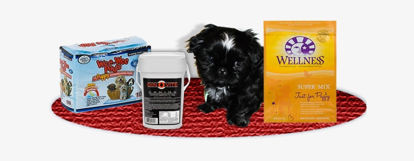 Four Paws, Wee-wee Pads Puppy Housebreaking Pads -, transparent png #586468