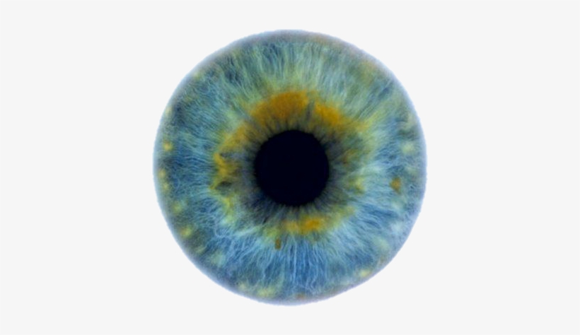 Eye And Cool Image - Blue Green Eyes Png, transparent png #586962