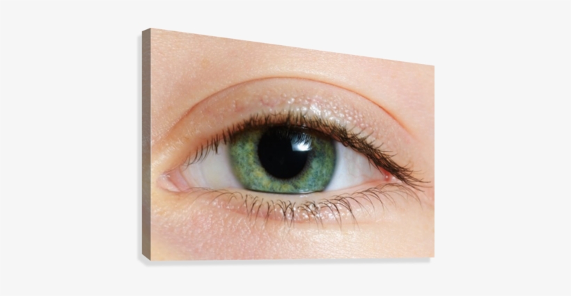 Closeup Of A Green Eye Canvas Print - Posterazzi Closeup Of A Green Eye Posterprint 38.00, transparent png #587403