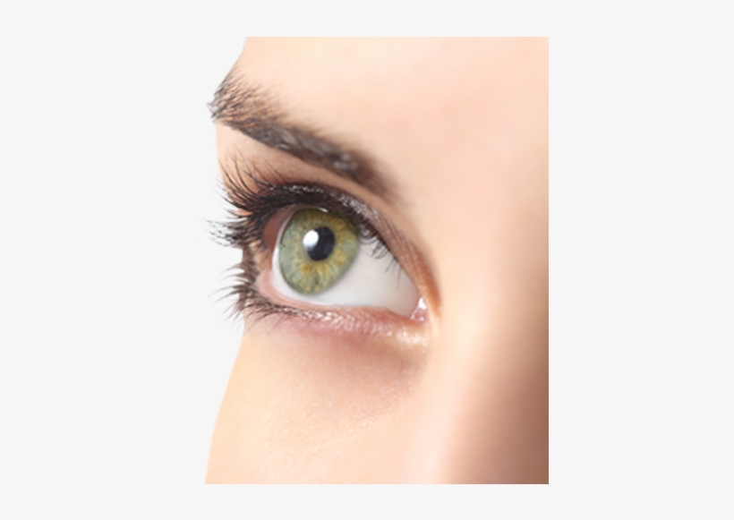 Five Trendy Makeup Colours For Green Eyes - Light Green Eye Lenses, transparent png #587432