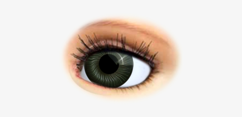 Doll Eyes - Eye, transparent png #587663