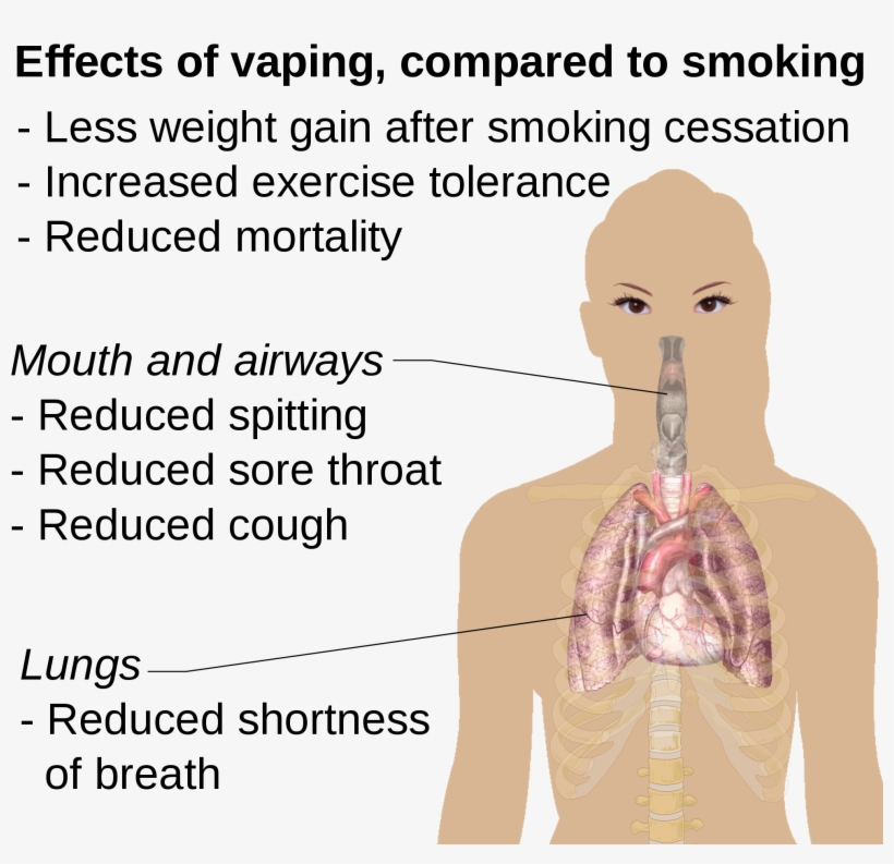 Effects Of Vaping Compared To Smoking Human Digestive System Free