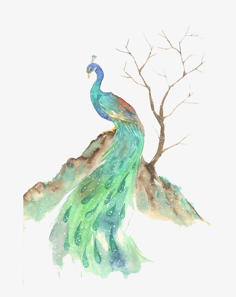 Bird Watercolor Painting Illustration - Watercolor Animals Peacock, transparent png #588163