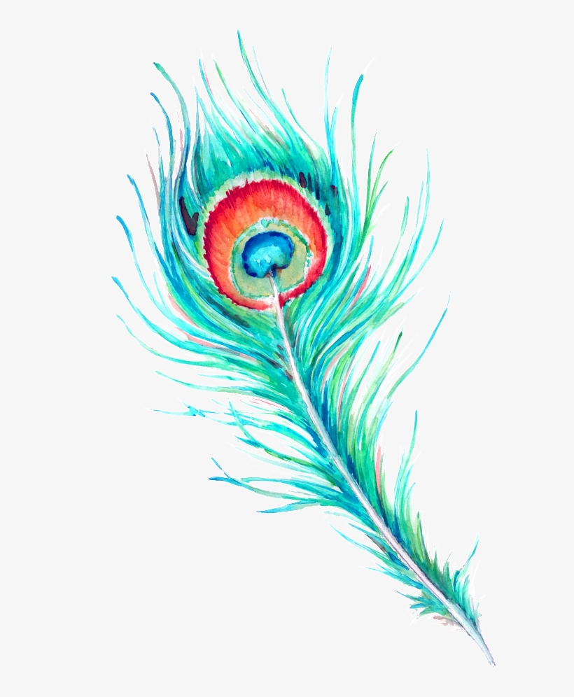 Peacock Feather Hd Beautiful Png - Peacock Feather Watercolor Free, transparent png #588191