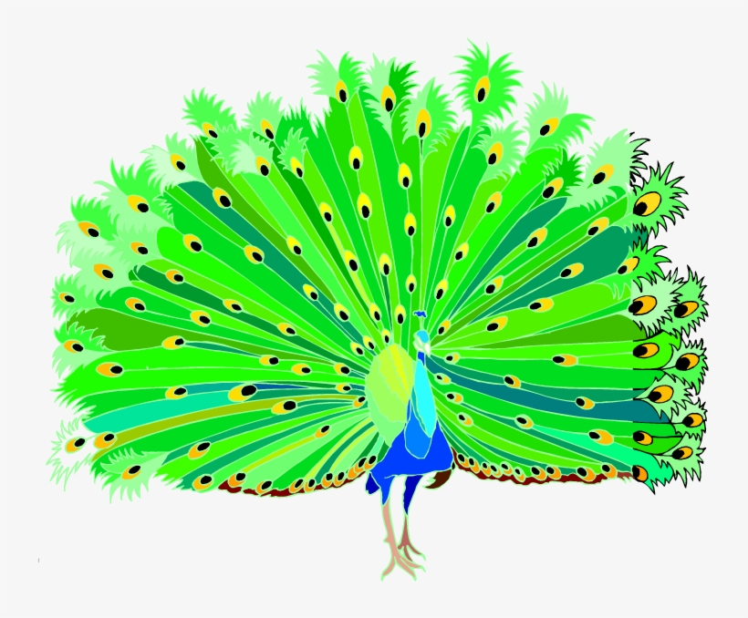 Peacock Clipart - Peacock Clipart Png Hd, transparent png #588407