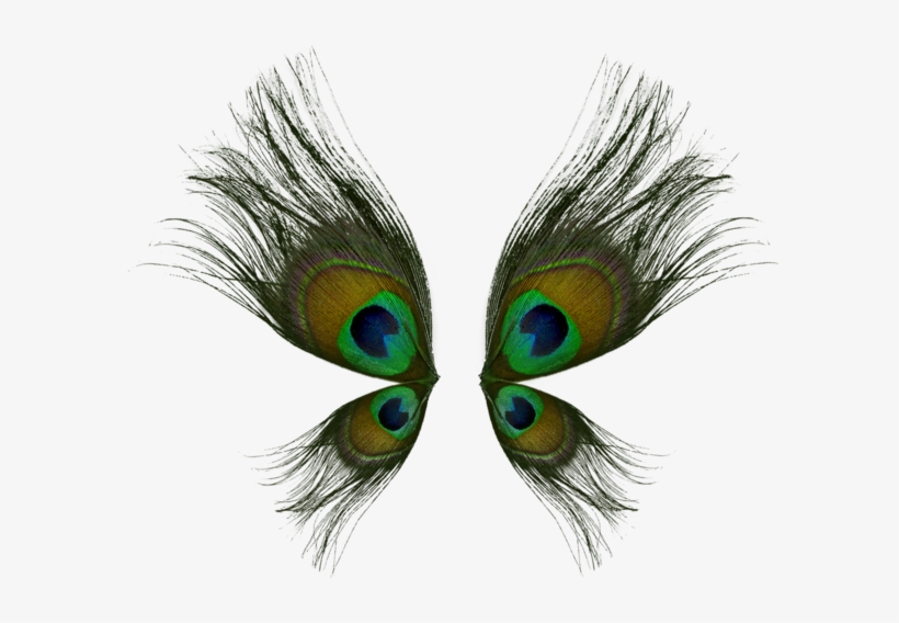 Peacock Wings Png By Valkiria Stock - Peacock Wings, transparent png #588425