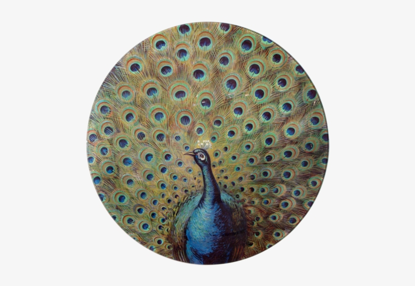 Fanned Peacock Fanned Peacock - Peafowl, transparent png #588448