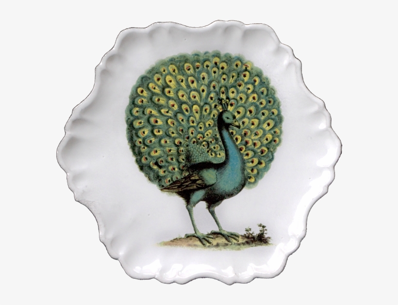 John Derian For Astier De Villatte Peacock Plate -, transparent png #588569