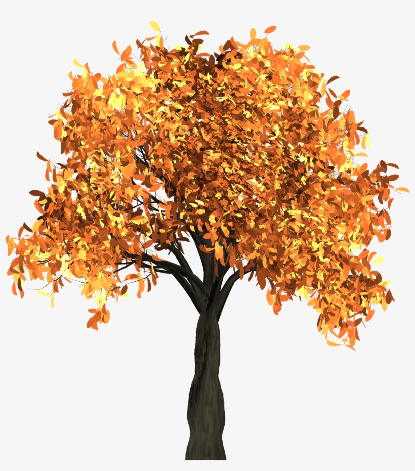 Autumn Tree Png Transparent Image - Transparent Background Autumn Tree Png, transparent png #588573