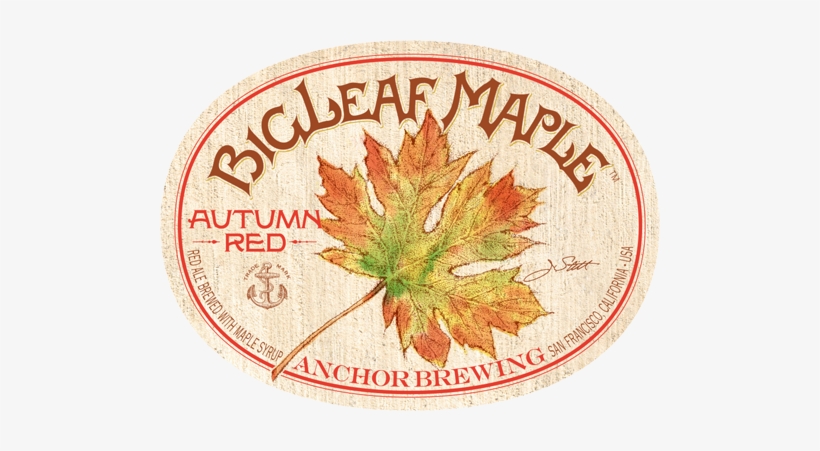 By Dave Burkhart, - Big Leaf Maple In Fall, transparent png #588676