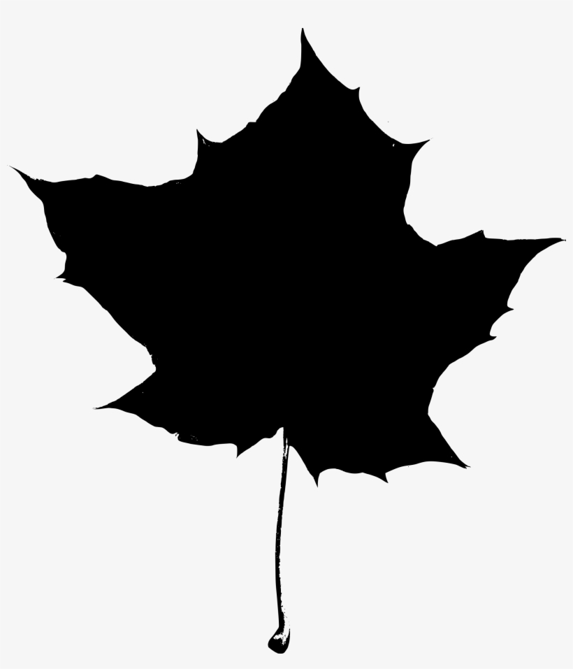 Maple Leaf Clipart Big Leaf - Maple Leaf Silhouette Png, transparent png #588957