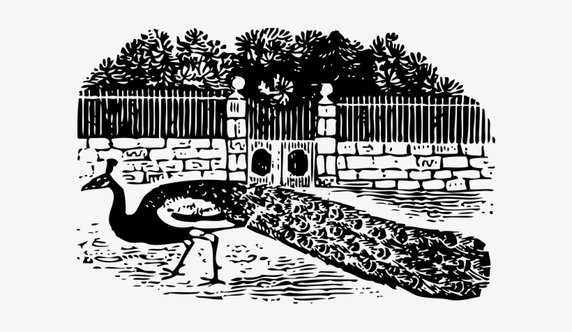 Peacock At The Gate Png Clip Arts, transparent png #589094