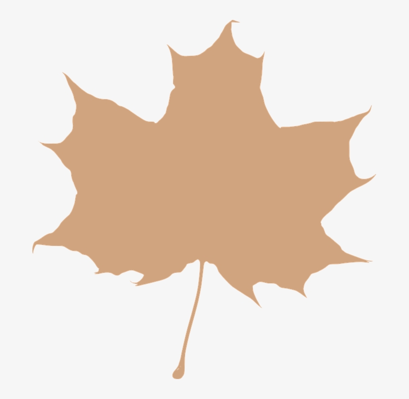 Maple Leaf 305190 960 720 - Leaf Silhouette Clip Art, transparent png #589115