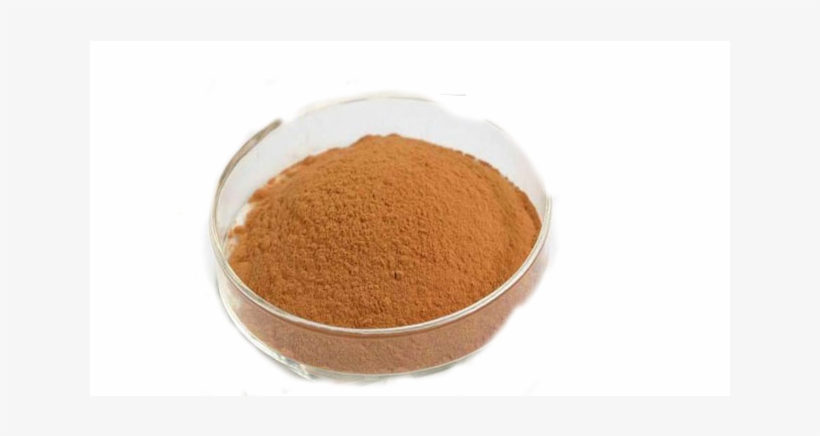 Crown Of Thorns, Crown Of Thorns Suppliers And Manufacturers - Bowl, transparent png #589190