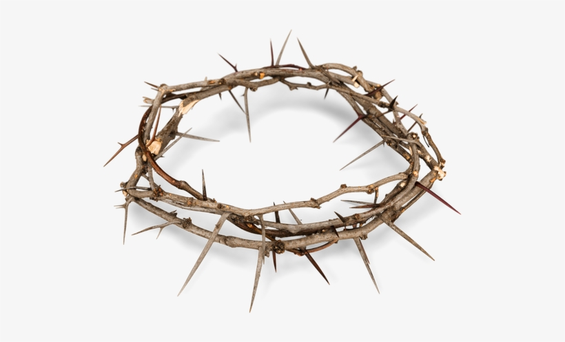 Crown Of Thorns Png, transparent png #589193