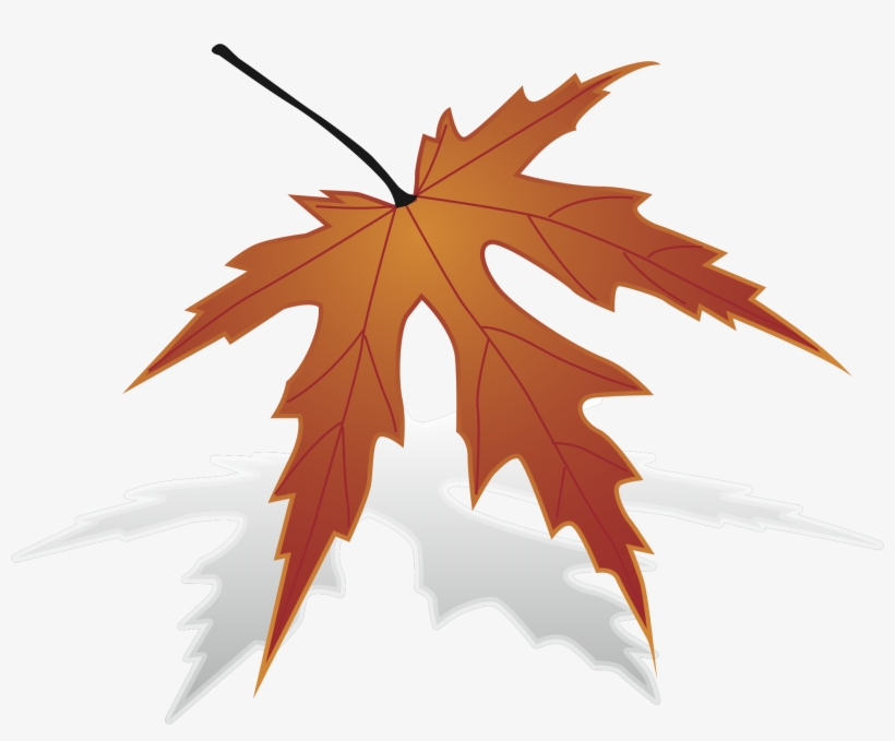 Maple Leaf Clipart Big Leaf - Maple, transparent png #589371