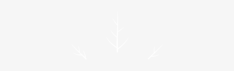 The Outline, Seen In The Most Recent Version Of This - Johns Hopkins Logo White, transparent png #589465