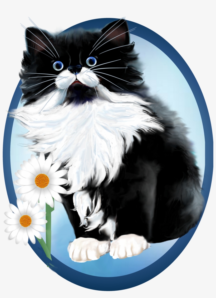 Little Tuxedo Kitten And White Fur Matching Daisy - Gatinho E Margarida Regata Com Estampa Completa, transparent png #5800305
