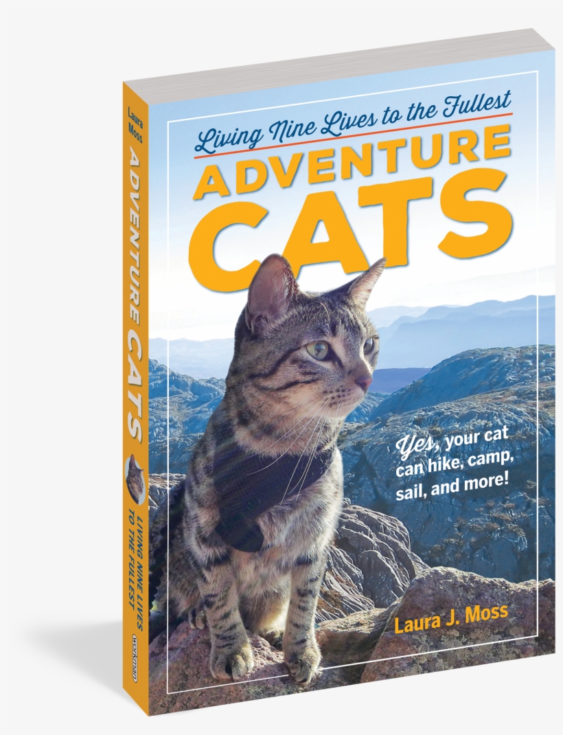 Adventure Cats: Living Nine Lives To The Fullest, transparent png #5800357