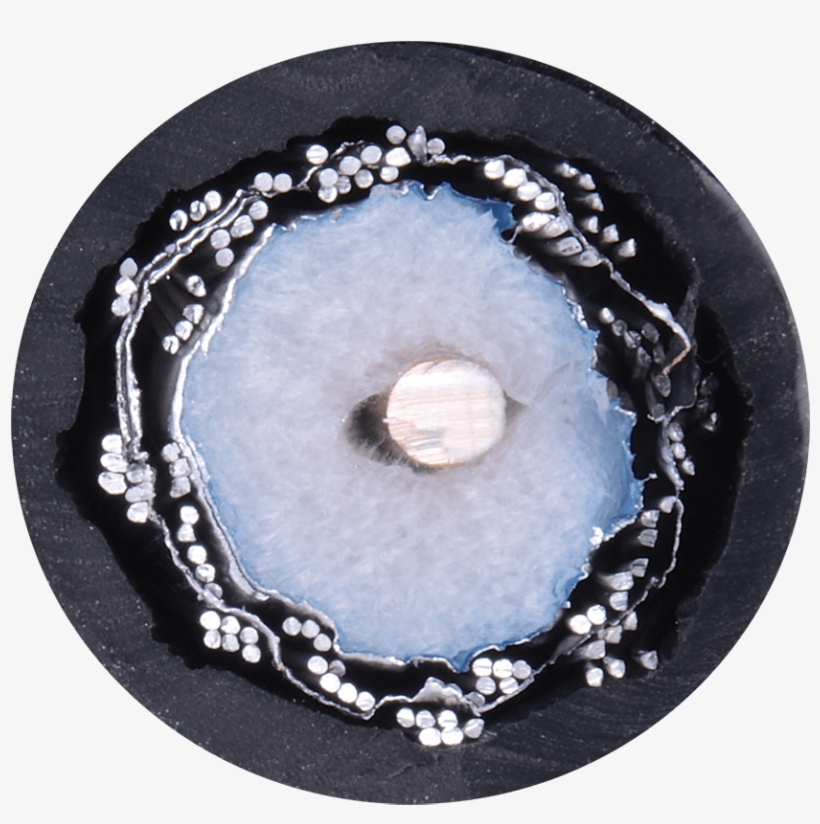 Circle, transparent png #5800675