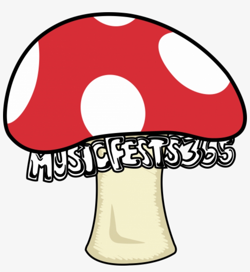 Review Of Okeechobee Music And Arts Festival 2018 Musicfests365 - Ticket, transparent png #5802959