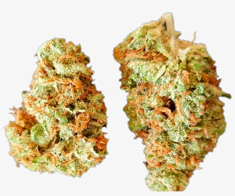 Primaryapp - Rock, transparent png #5803188