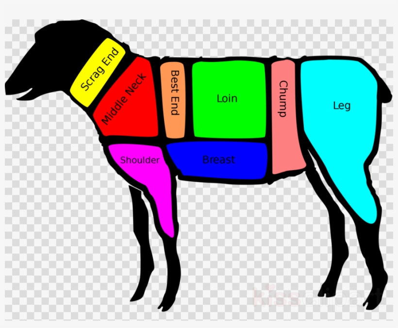 Lamb Shank On Lamb Clipart Sheep Lamb And Mutton Shank, transparent png #5803634