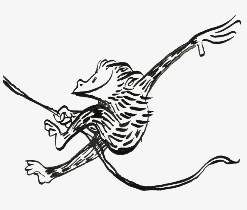 Monkey - Illustration, transparent png #5804112