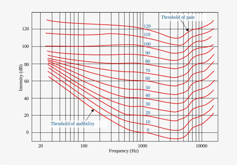 Loudness And The Fletcher-munson Curve - Equal Loudness Contour Fletcher Munson Curve, transparent png #5805585
