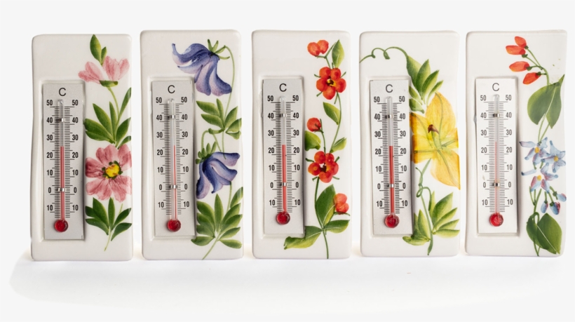 Picture Of Aquilegia Wall Thermometer Aboca Museum - Aboca Museum, transparent png #5805757