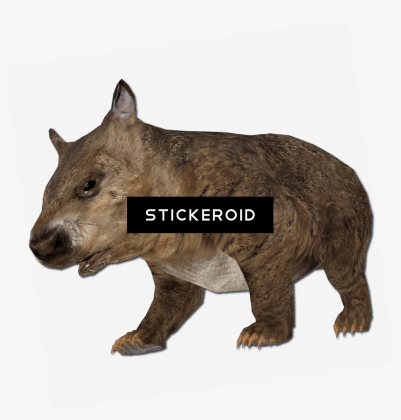Small Nose - Rhinoceros, transparent png #5806062