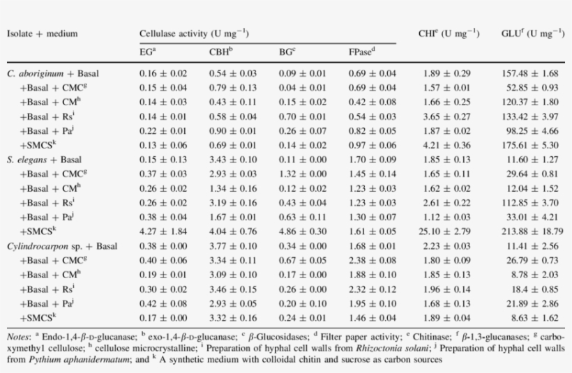 Cell Wall-degrading Enzymes Produced By Fungal Endophytes - Amino Acid, transparent png #5809417
