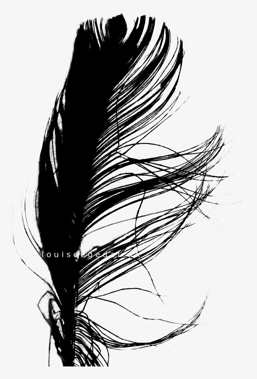 Jpg Transparent Stock Interesting Drawing Feather - Design, transparent png #5810749