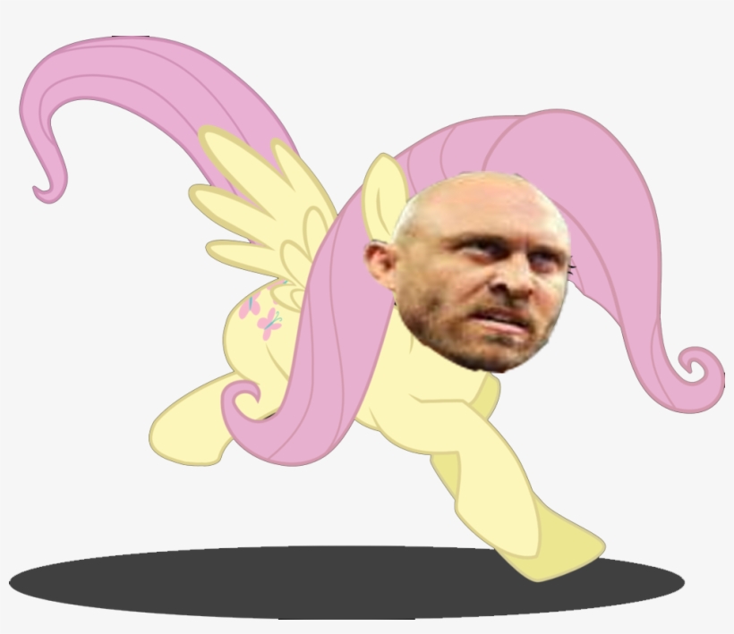 Post By Hawk Hart On Jul 28, 2013 At - Fluttershy Mbti, transparent png #5810755
