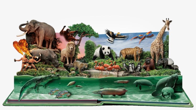 Leave A Reply Cancel Reply - Wildlife Reserves Singapore, transparent png #5811135