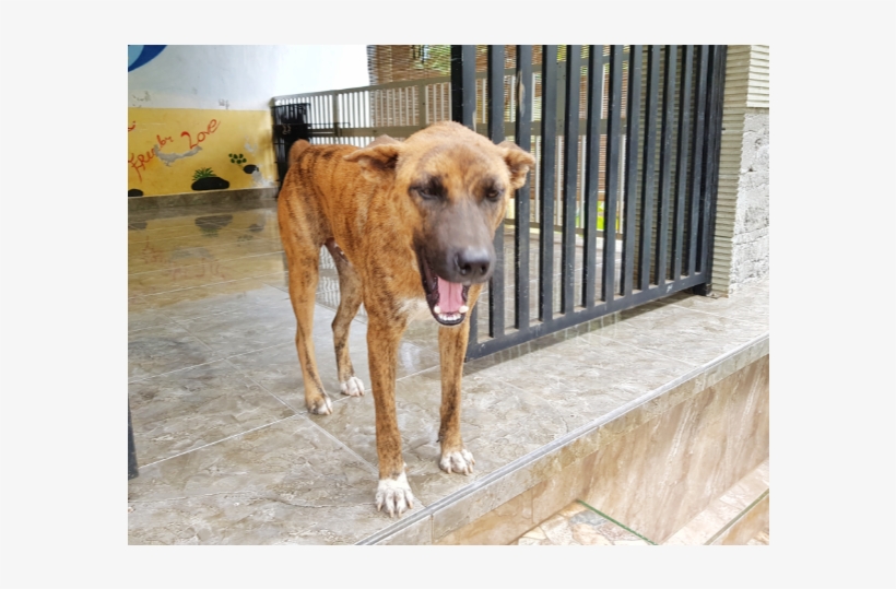 21, transparent png #5811766