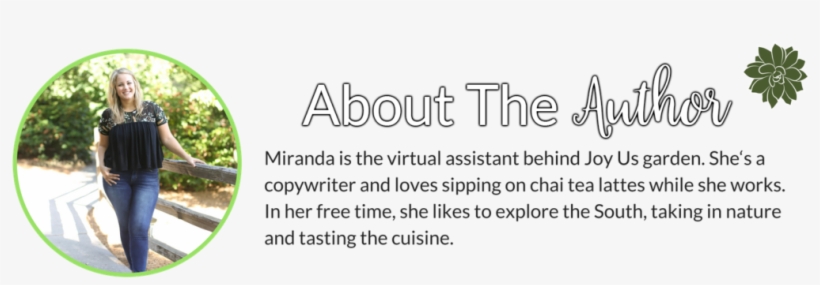 I've Dabbled In Painting And Hiking Myself, But I'm - Calligraphy, transparent png #5812400