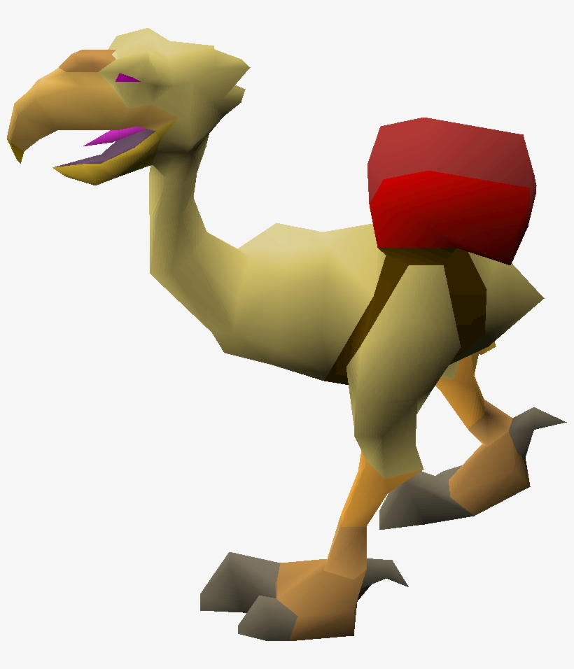 Terrorchick Gnome - Cartoon, transparent png #5812609