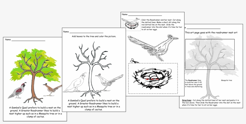Black And White Drawings About The Greater Roadrunner - Cartoon, transparent png #5814139