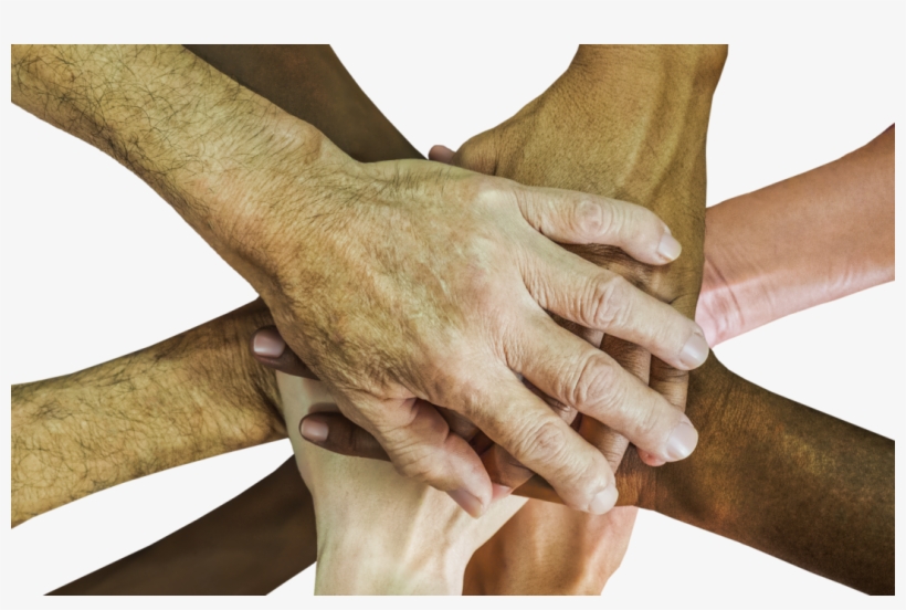 Gratitude And Thanksgiving, transparent png #5814201