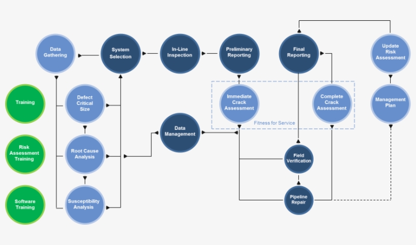 The Solution - Management, transparent png #5815189